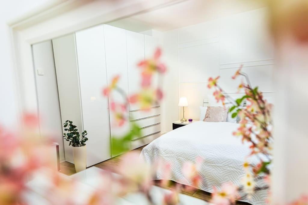 Charmante Wohnung In Koblenzer Innenstadt Кобленц Экстерьер фото